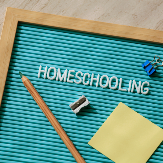 SPECIAL NEEDS HOMESCHOOL STARTER BUNDLE